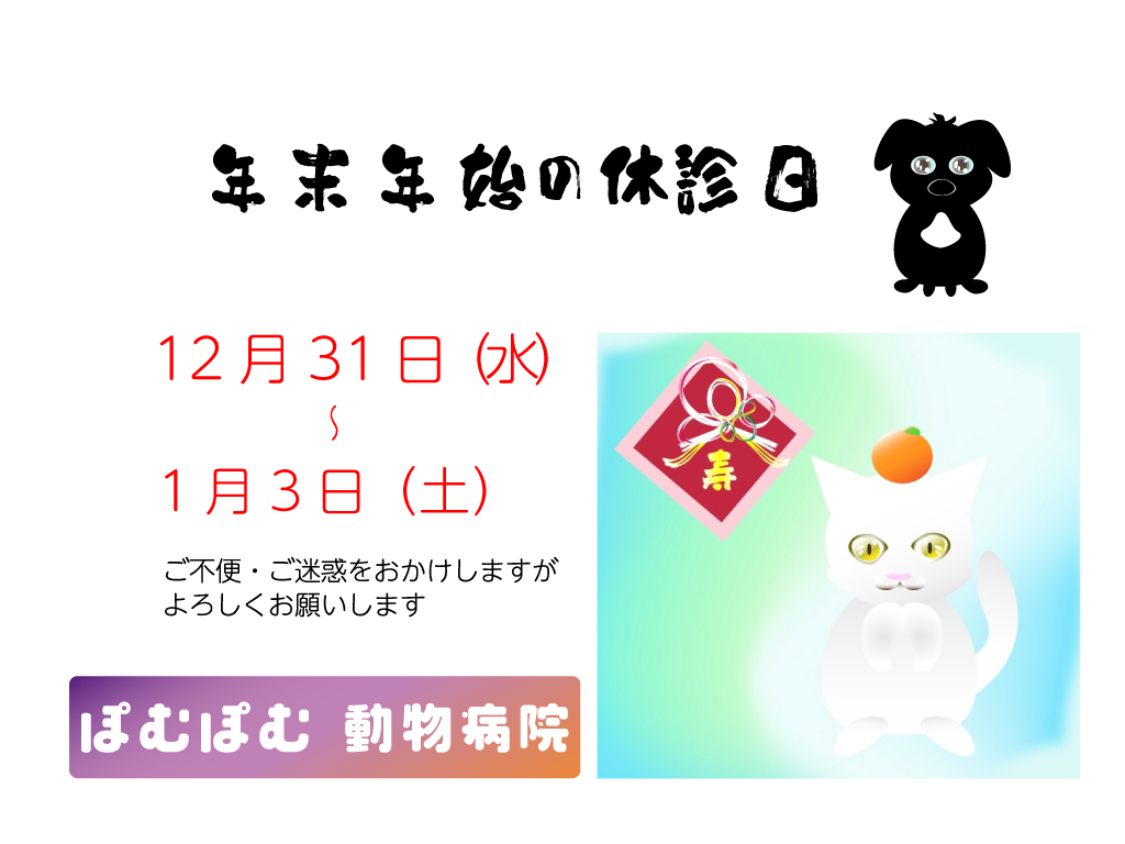 年末年始の休診日12/31~1/3