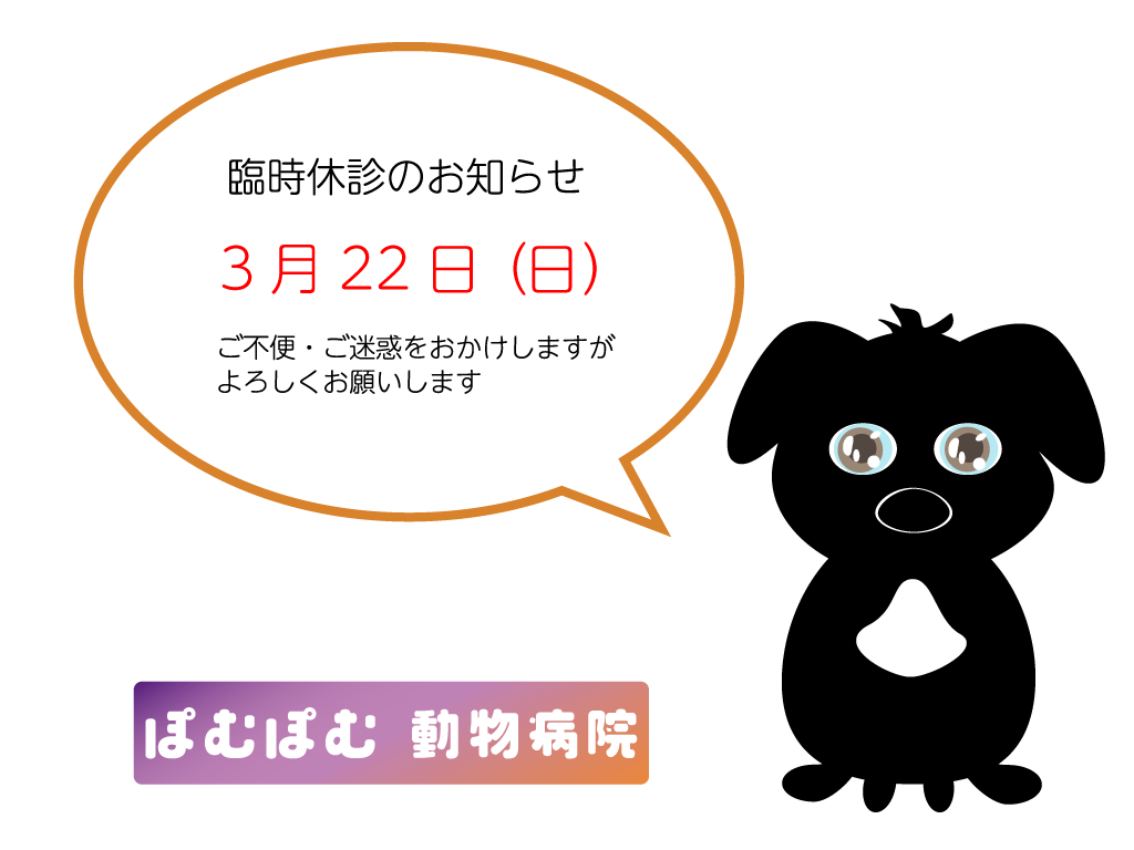 3/22（日）臨時休診のお知らせ