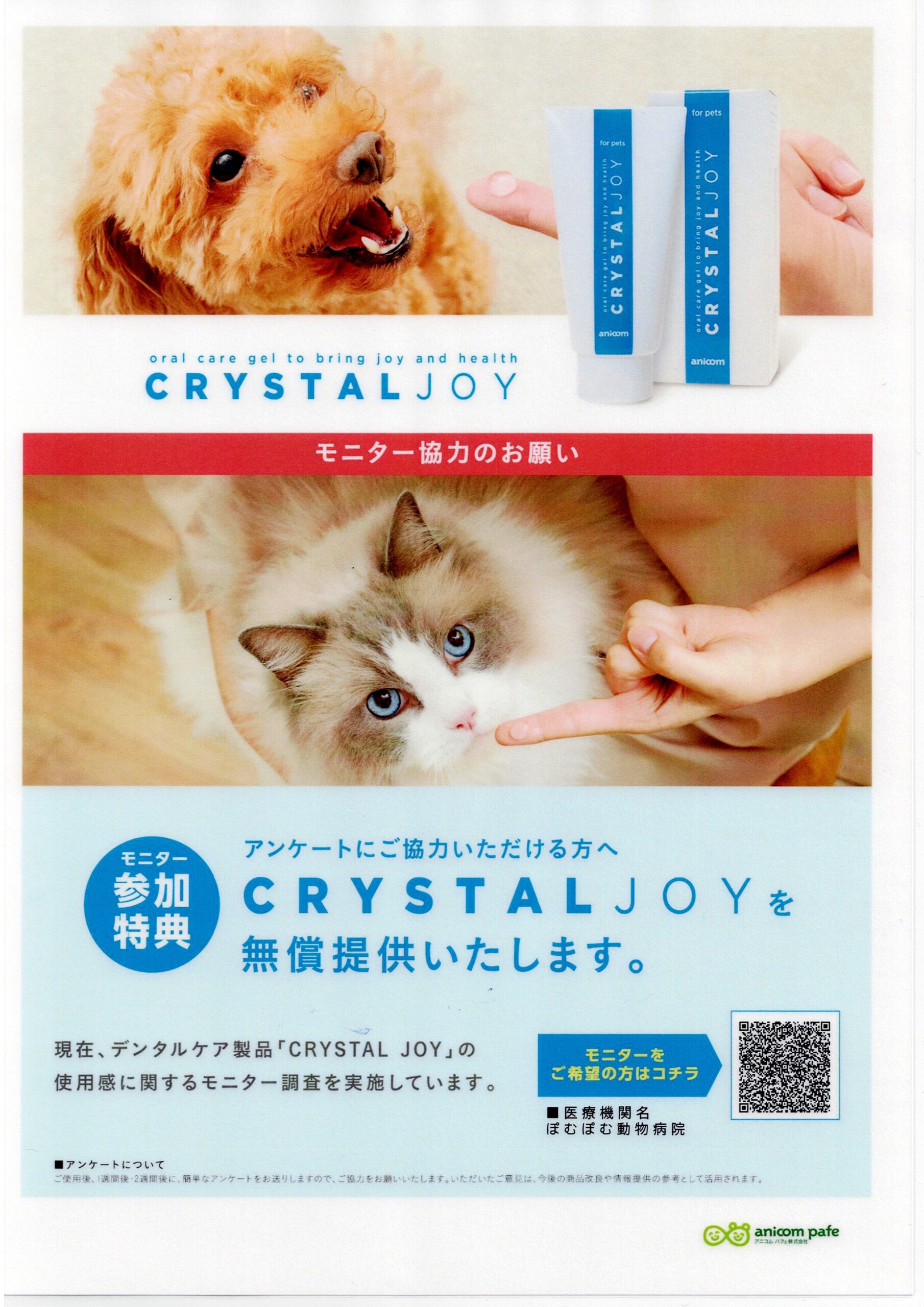 歯みがきジェルモニター開始！